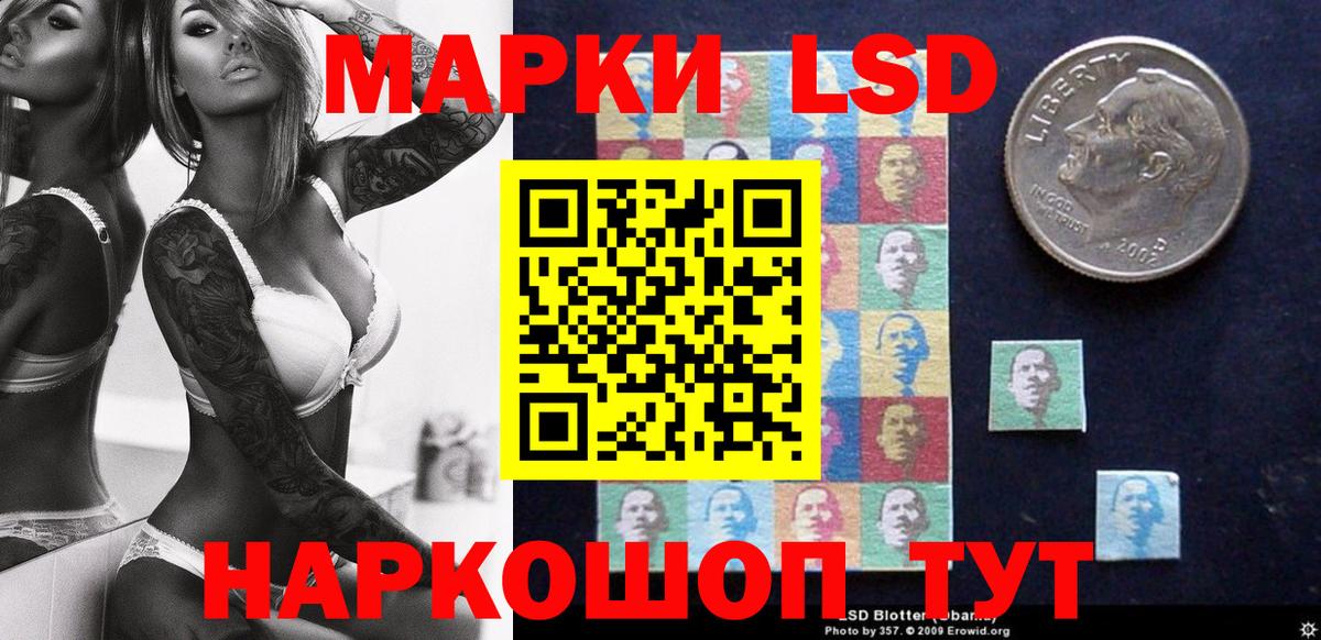 Гашиш Новодвинск