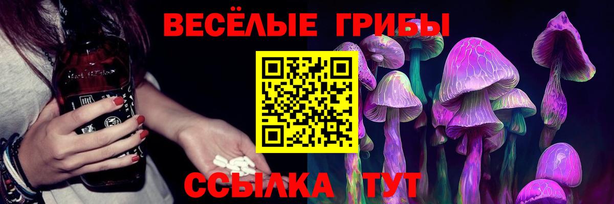 Псилоцибиновые грибы Psilocybine cubensis  Вход с VPN  Новодвинск  Галлюциногенные грибы Cubensis 